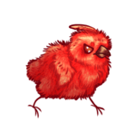 Red Color Chick